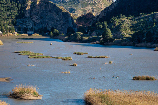 Murcia Bölgesi Blanco 'da bulunan Azud de Ojos rezervuarı. İspanya. Segura Nehri. Ricote Vadisi. Alto de Bayna izleme platformundan görüldü - Fotoğraf, Görsel