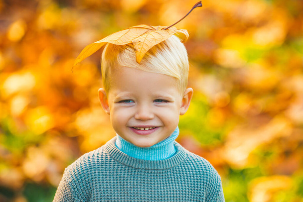 Smiling blonde kid hold autumn leafs in the nature. Autumn kid, cute child with fallen leaves in autumn park. Yellow maple leaves on kids head. - Photo, Image