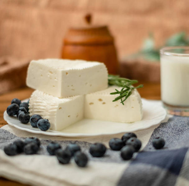A head of cheese in a white plate lies on the table with blueberries and rosemary. Fresh goat cheese lies on a wooden table. - Photo, Image