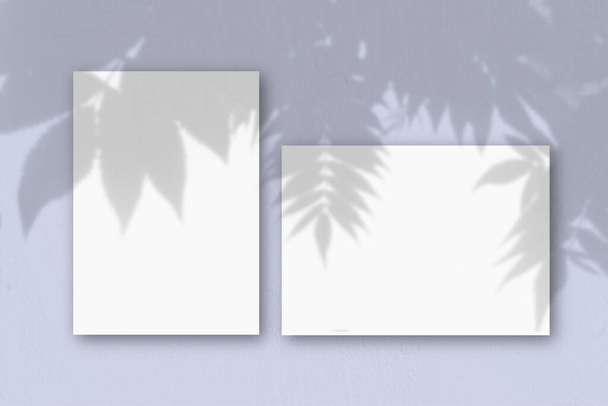Mavi duvara karşı iki beyaz desenli kağıt. Bitki gölgeleriyle kaplanmış bir model. Doğal ışık, egzotik bir bitkinin gölgesini oluşturur. Düz yerde, üst tarafta. Yatay yönelim. - Fotoğraf, Görsel