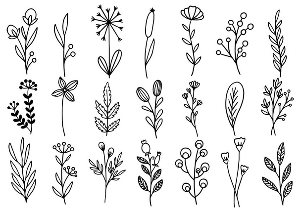 0142 hand drawn flowers doodle - Vector, Imagen