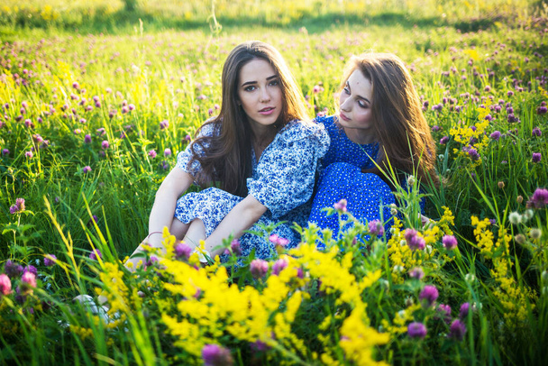 two young european beautiful girls in a field of wildflowers - Foto, Imagen