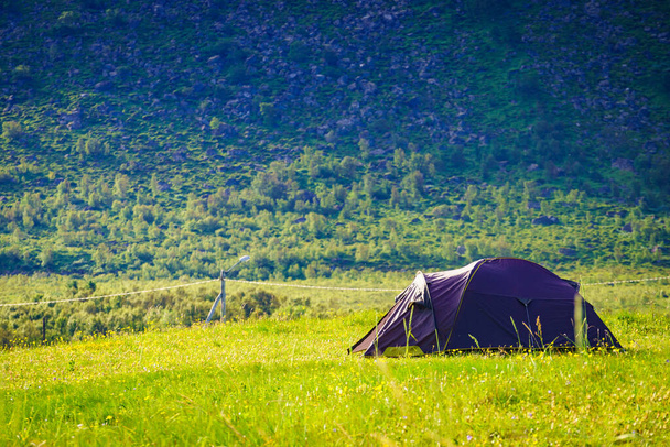 Camping. Tent on nature in summer. Lofoten archipelago Norway. Holidays and travel. - Foto, imagen