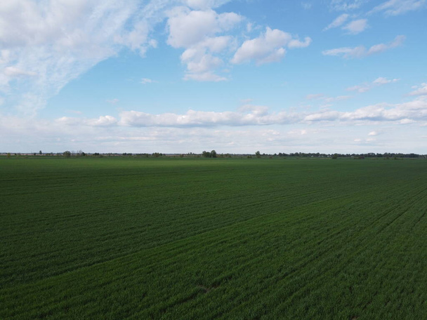Blue sky over a green field, aerial view. Farmland landscape. - Foto, Imagem