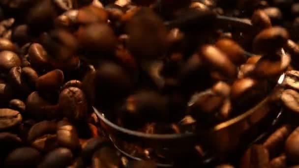 スローモーションマクロでブレンドグラインドコーヒー豆  - 映像、動画