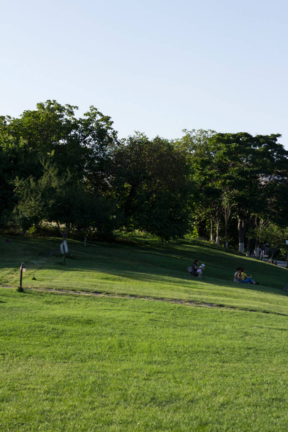 Ağaçların arasında yeşil bir çimenlikte dinlenme alanı - Fotoğraf, Görsel