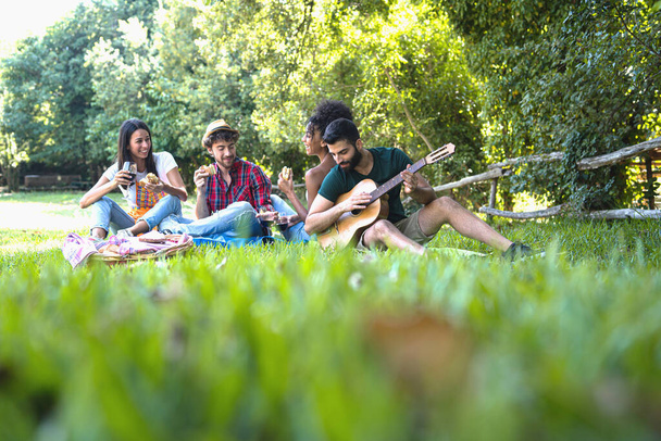 Group of young people having fun having a picnic in the countryside. Mixed race people drinking wine, eating sandwiches and playing guitar outdoors. Healthy lifestyle concept. - Foto, Imagen