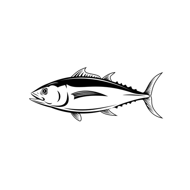 Retro-Darstellung eines Thunfischs Thunnus alalunga oder Langflossenthunfisch, einer Thunfischarte der Ordnung Perciformes, von der Seite auf isoliertem Hintergrund in schwarz-weiß. - Vektor, Bild