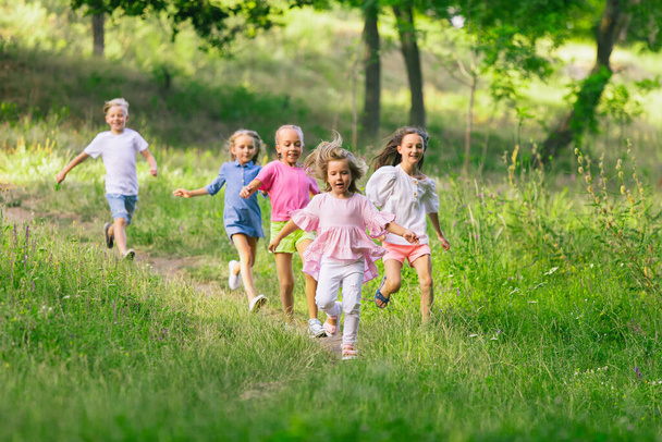 Kids, children running on meadow in summers sunlight - Φωτογραφία, εικόνα