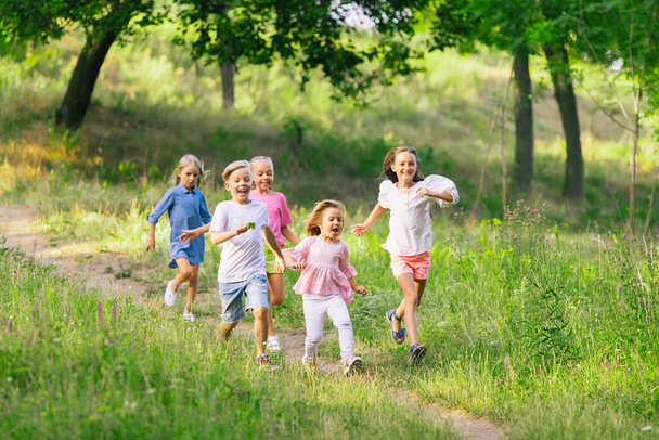 Kids, children running on meadow in summers sunlight - Foto, imagen