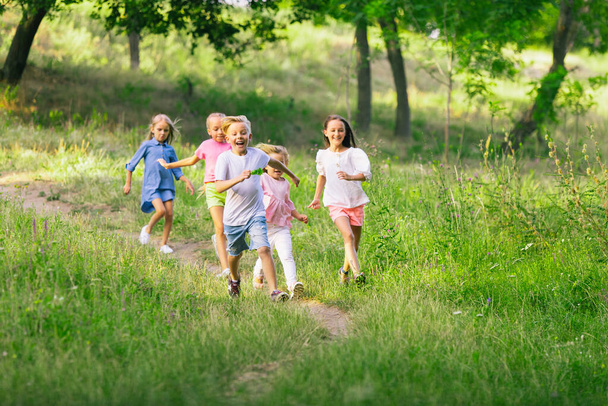 Kids, children running on meadow in summers sunlight - Фото, изображение