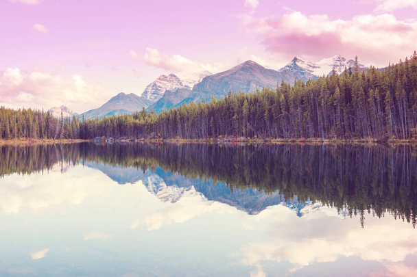 Спокійна сцена біля гірського озера в Канаді з відзеркаленням каменів у спокійній воді.. - Фото, зображення