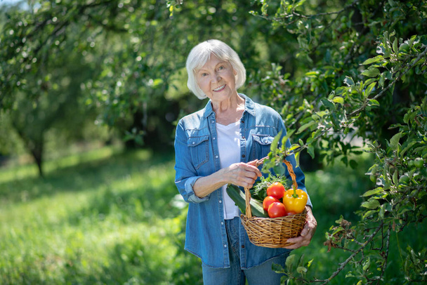 Elderly woman holding a basket of organic vegetables - Foto, afbeelding
