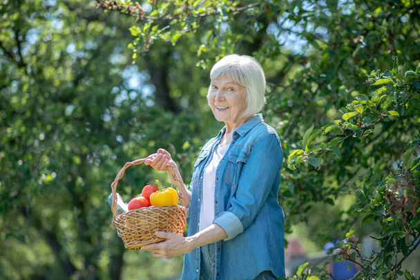 Smiling woman holding a basket with peppers and tomatoes - Φωτογραφία, εικόνα