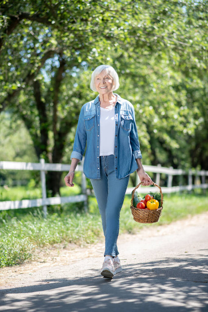 Cheerful elderly woman walking with a basket of fresh vegetable - Fotografie, Obrázek