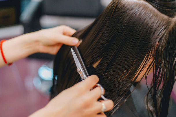 Cutting hair in a beauty salon - Фото, зображення