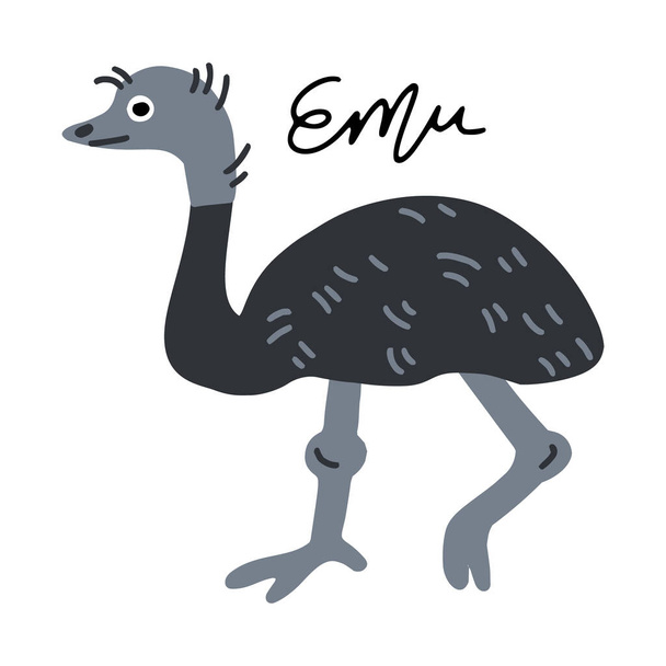 Australian bird Emu vector illustration clipart. Cartel de diseño infantil
. - Vector, imagen