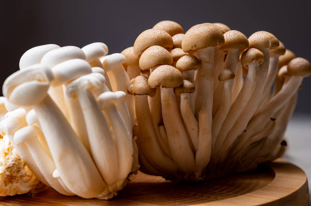 Čerstvě tepelně neupravené buna hnědé a bunapi bílé shimeji jedlé houby z Asie, bohaté na umami ochutnávky sloučenin, jako je guanyl a kyselina glutamová - Fotografie, Obrázek