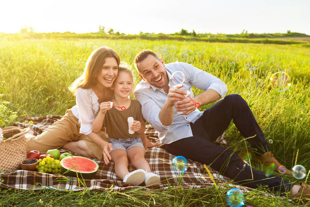 幸せな素敵な家族は一緒に草原のピクニックで遊んでいます - 写真・画像