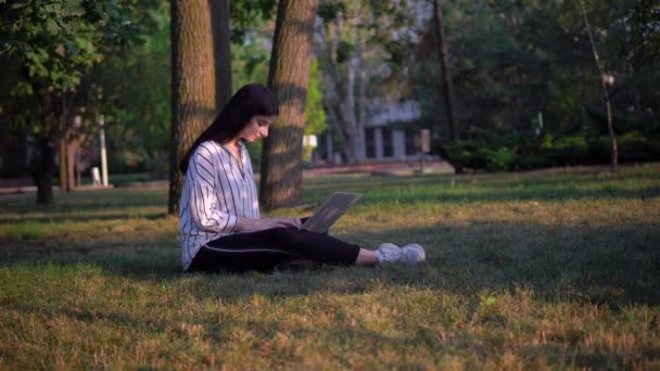 Junge Frau auf Gras sitzend, mit Laptop, freiberufliche Online-Fernarbeit - Filmmaterial, Video