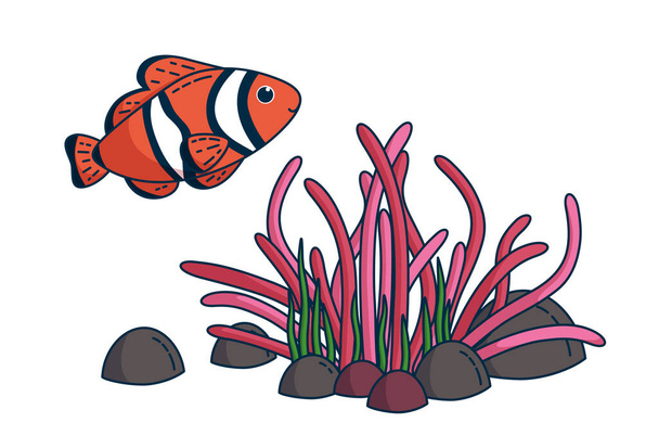 Clownfish and anemone. Vector illustration - Vector, Imagen