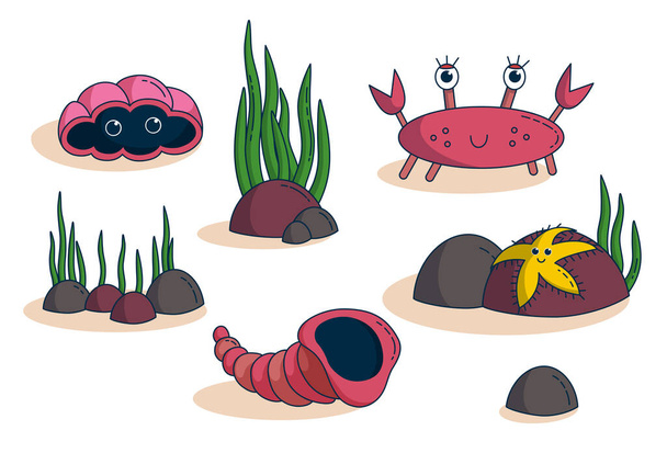 Seaside animals. Vector illustration - Vector, Imagen