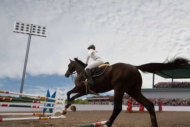 Jeździecki sport. Młoda dziewczyna jeździ na koniu na mistrzostwach. - Zdjęcie, obraz