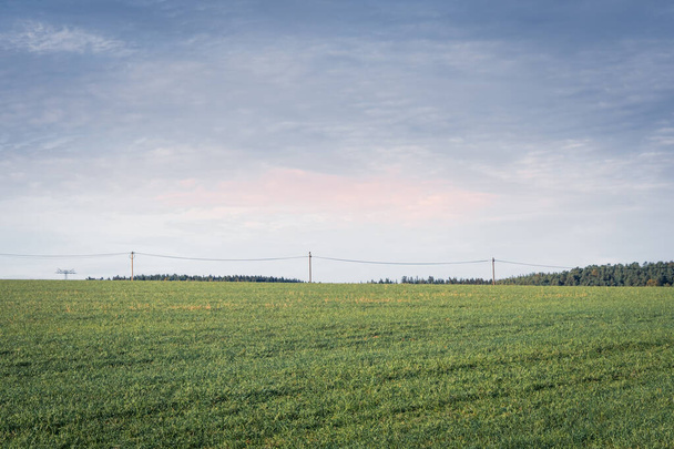 Large flat green grassy field in the countryside with electricity pylons on the skyline in the distance against a cloudy blue sky and a feint pink tinge of colour to the clouds at sunset or sunrise - Foto, Imagen