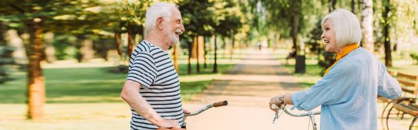 Panoráma felvétel idős nő mosolyog a férj közelében kerékpár a parkban  - Fotó, kép