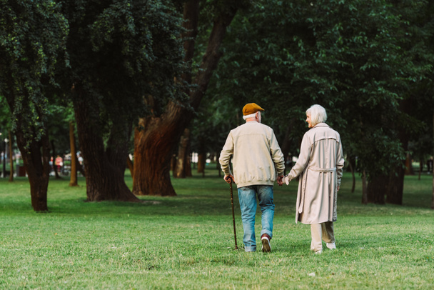 Back view of senior couple walking on grass in park  - Fotoğraf, Görsel