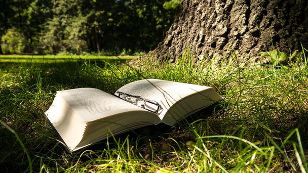 a könyv egy erdőben szemüveg - Fotó, kép