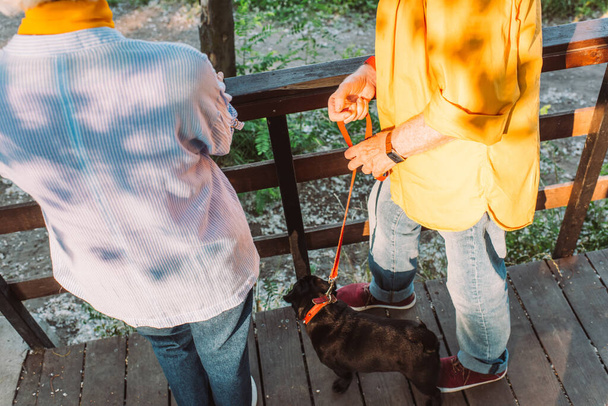 Обрізаний вид на літню пару з мопсом собакою, що стоїть на мосту в парку
  - Фото, зображення