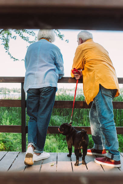 Selective focus of senior couple with pug dog on leash standing on wooden bridge in park  - Foto, imagen