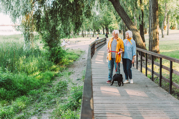 Selective focus of positive senior man with pug dog on leash walking near wife on wooden bridge in park  - Zdjęcie, obraz