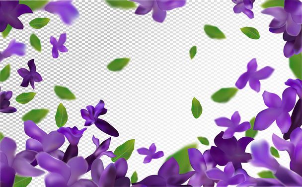 Лавандовый фон. Красивая лаванда с зеленым листом на прозрачном фоне. Виолетовая цветочная лаванда в движении. Летящий цветок. Трехмерная векторная иллюстрация - Вектор,изображение