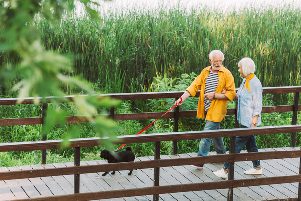 Selective focus of smiling senior couple strolling with pug dog on leash on bridge in park  - Photo, Image