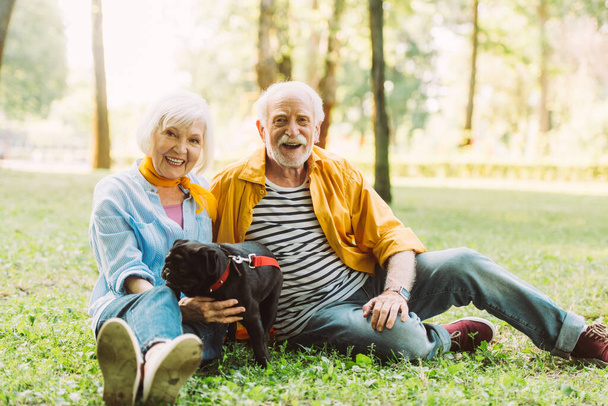 foyer sélectif de sourire couple âgé avec chiot chiot regardant la caméra sur l'herbe dans le parc  - Photo, image