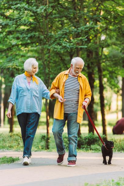 Selective focus of cheerful elderly couple walking with pug dog on leash in park  - Photo, Image