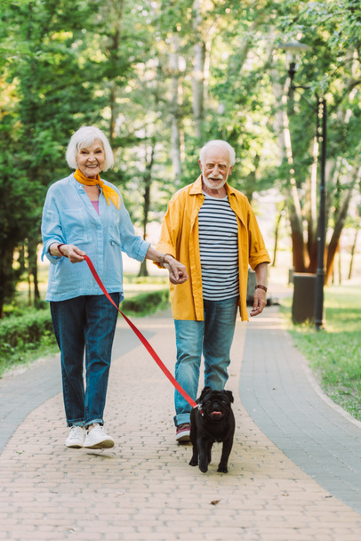 Mosolygó idős pár sétáló mopsz kutya pórázon és kéz a kézben a parkban - Fotó, kép