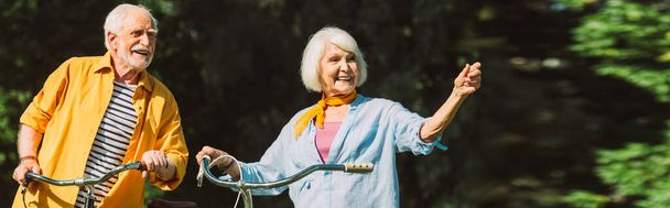 Vue panoramique d'une femme âgée souriante pointant du doigt près du mari et de vélos dans le parc   - Photo, image