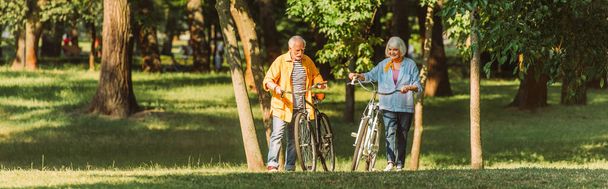 Imagen horizontal de la sonriente pareja de ancianos caminando con bicicletas en el césped en el parque
  - Foto, Imagen