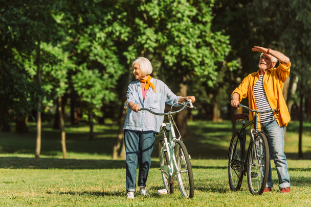 Smiling grey haired couple standing near bikes on meadow in park  - Photo, Image