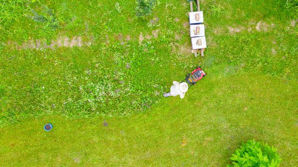 行、行、蜂のコロニーに配置された蜂の巣の間で草を切断している養蜂家の上のビューでは、モータの芝生の芝刈り機と. - 写真・画像