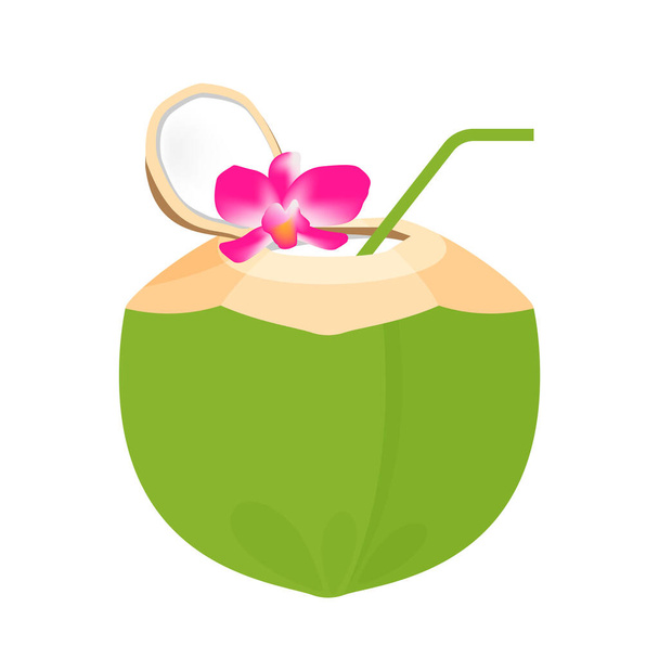 кокосовый сок свежий с plumeria цветок и соломенная трубка природа, кокосовый зеленый молодой наполовину сократить для здорового меню фруктовый сок, кокосовый летний фруктовый концепт, клип искусства зеленый кокос сочный изолирован на белом - Вектор,изображение