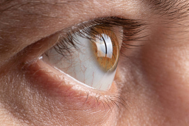 Macro foto van het mannelijke oog is bruin. Gezond menselijk oog - Foto, afbeelding