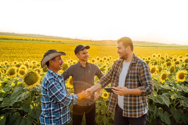 a group of farmers in the sunflower field, shaking hands. - Foto, afbeelding