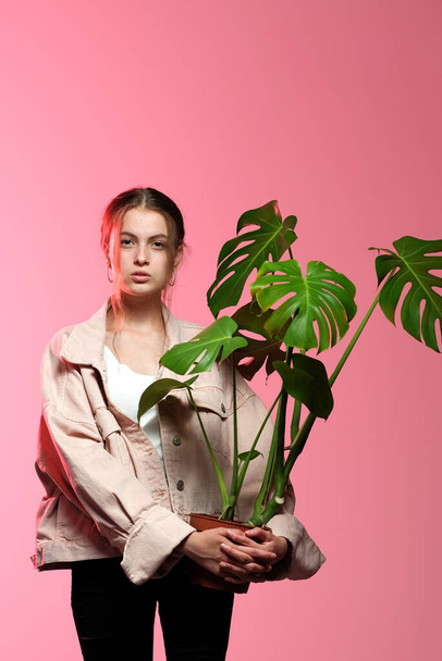 A girl in a pink jacket in black jeans holds in her hands a monstera flower in a pot posing on a pink background. - Photo, Image