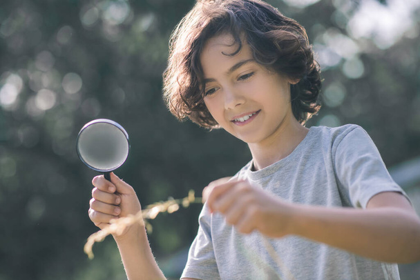 Dark-haired boy looking at the plant through magnifying glass - Foto, Imagem
