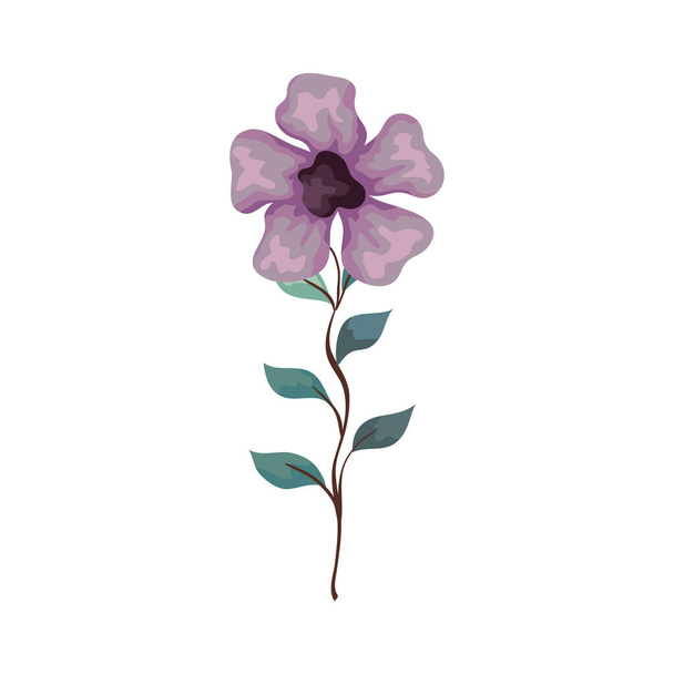 color lila flor con rama y hojas, sobre fondo blanco
 - Vector, imagen