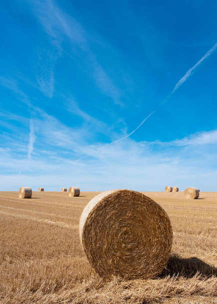 campo dorado con fardos de paja bajo el cielo azul en el norte de Francia
 - Foto, Imagen